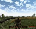 Gothic 3 - ATI Radeon HD 3450