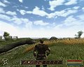 Gothic 3 – nVidia GeForce 8400 GS